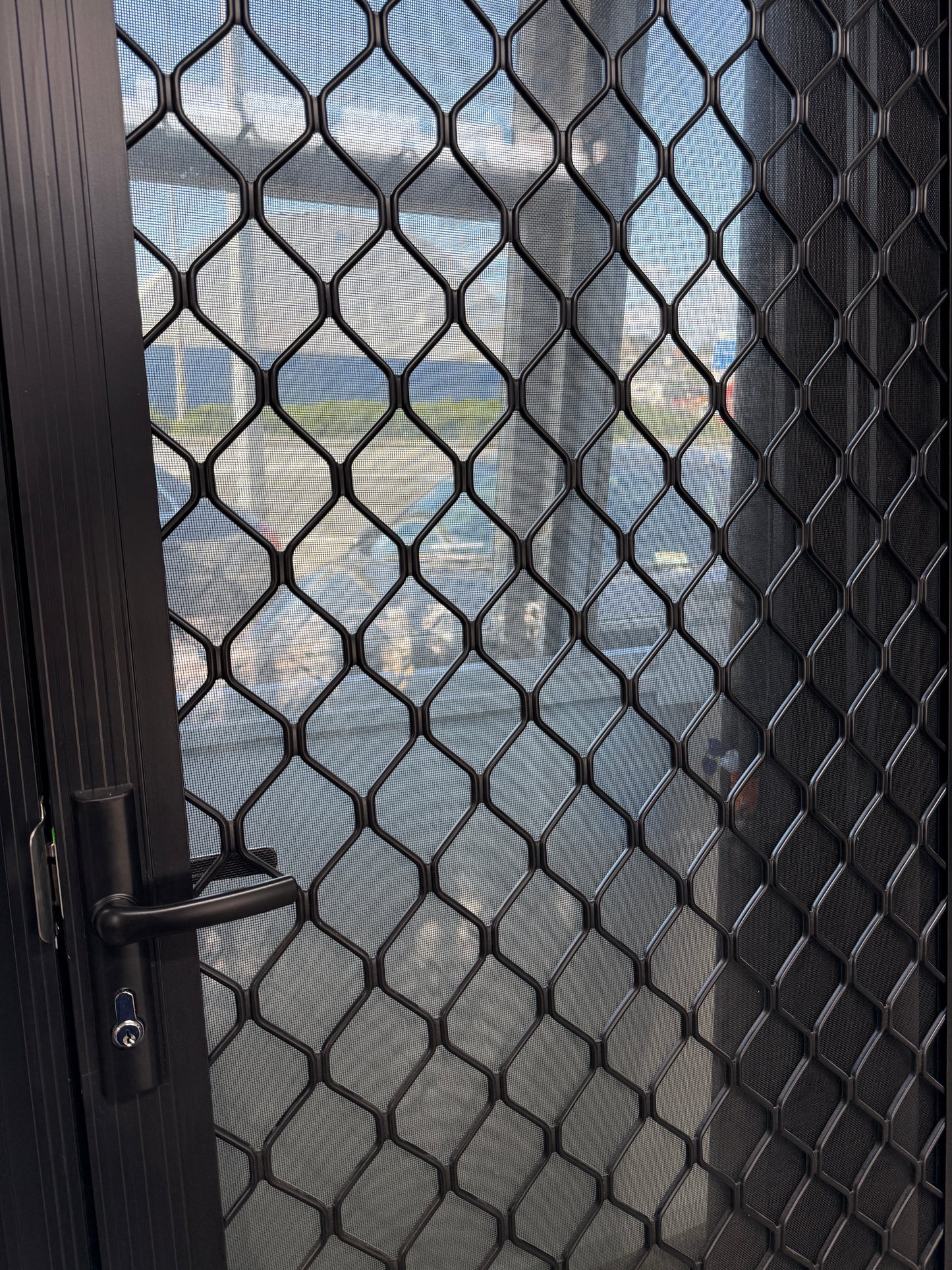 Security Mesh Door