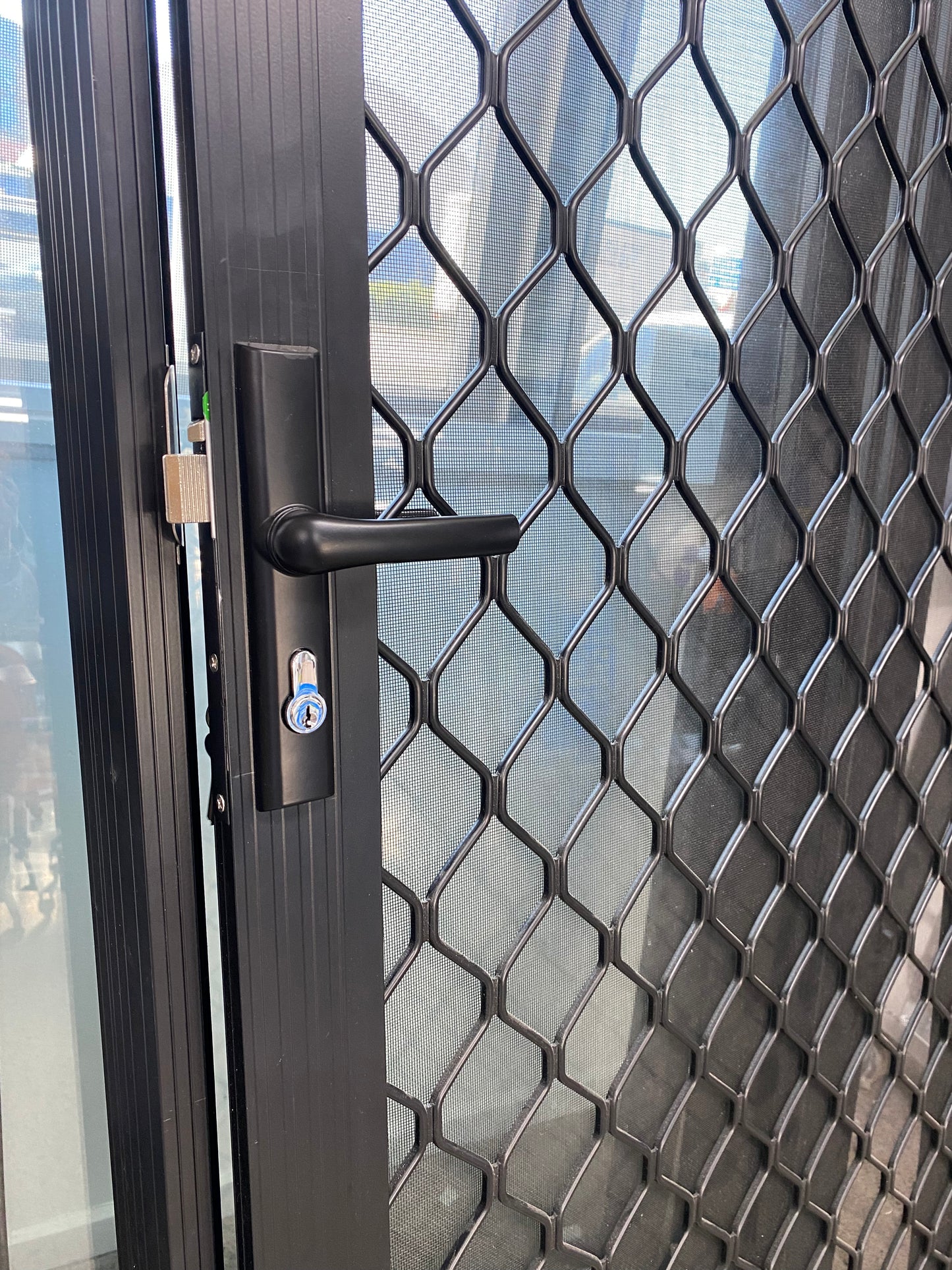 Security Mesh Door